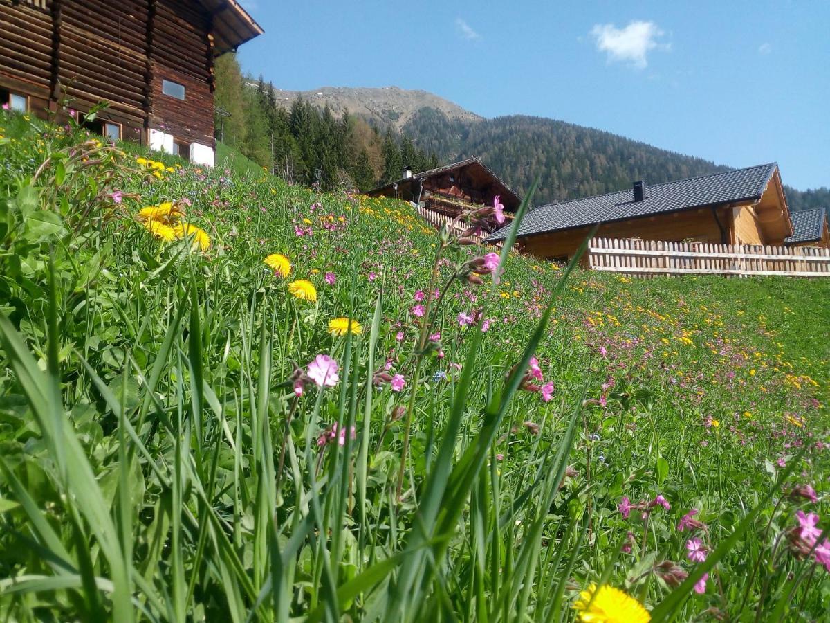 Chalet Niederhaushof Ultimo Exterior photo